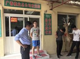广春鹿业